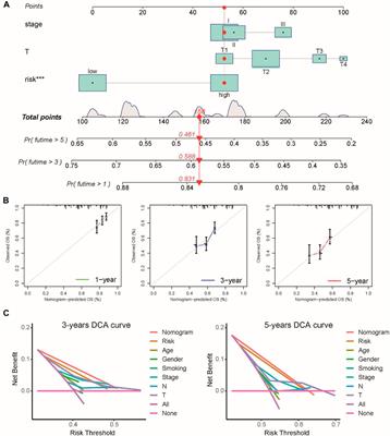 Determination of a prediction model for therapeutic response and prognosis based on chemokine signaling-related genes in stage I–III lung squamous cell carcinoma